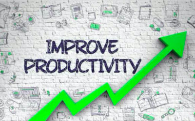 Where the Key Qualities of Leaders and the 6 Human Needs of Each Individual Come Together: Quiet the Drama in the Office & Gain Productivity