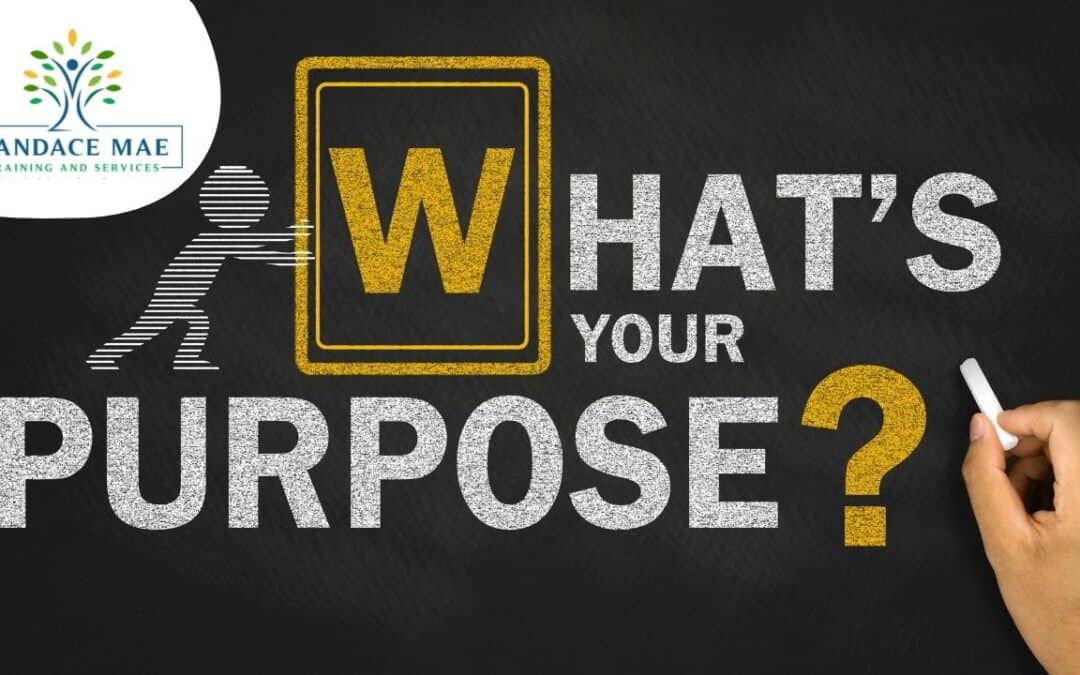 Find Your Purpose, then set Goals using Vision – Part 2 of 3